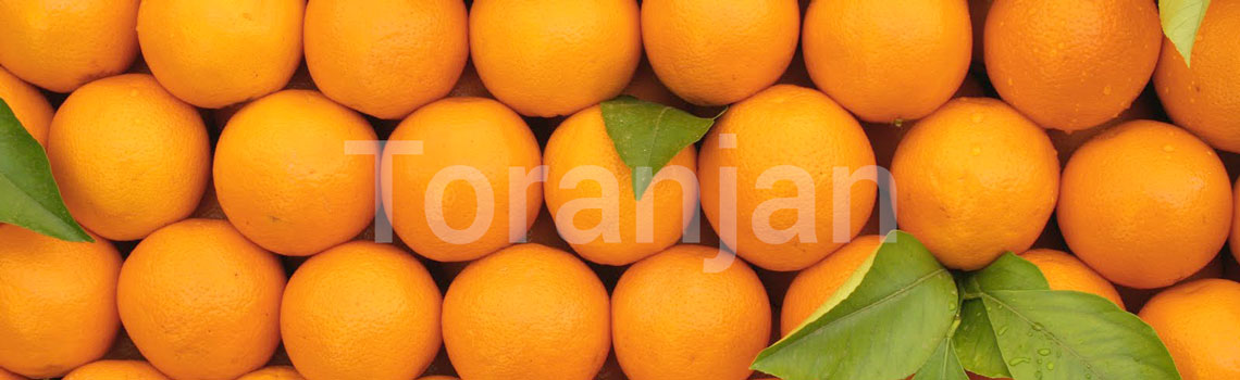 پرتقال - ترنجان