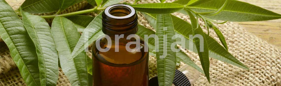 روغن درخت چای - ترنجان