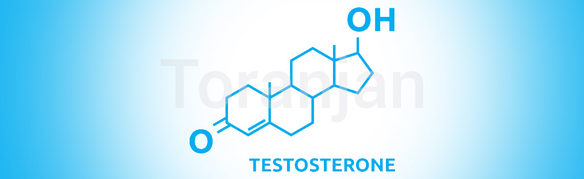 هورمون تستسترون چگونه بر روی پوست تأثیر می‌گذارد - ترنجان
